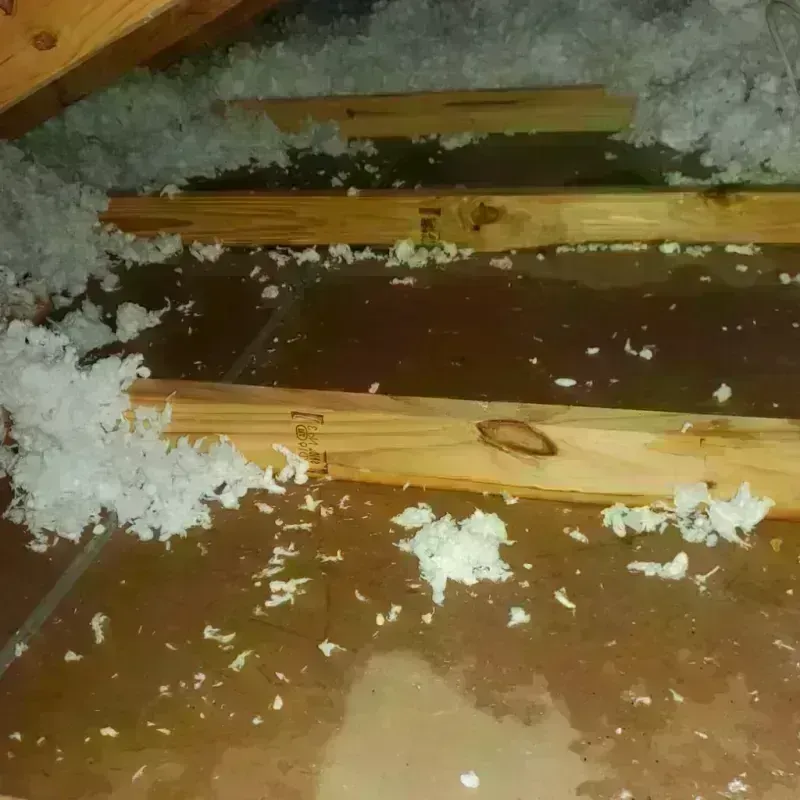 Attic Water Damage in England, AR