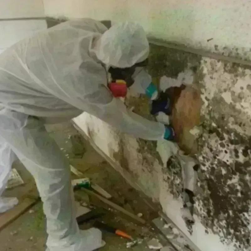 Mold Remediation and Removal in England, AR