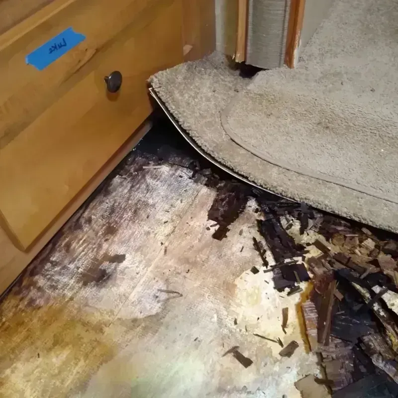 Wood Floor Water Damage in England, AR